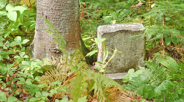 Grand Island Cemetery